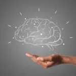 Illustration cerveau pour les biais cognitif