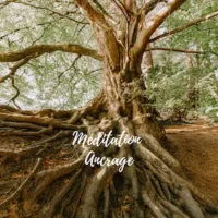 Arbre enraciné dans la terre, symbole d’ancrage, de stabilité et de connexion à la nature.